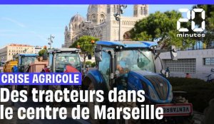 Crise agricole : Des agriculteurs déversent du foin devant la Draaf à Marseille
