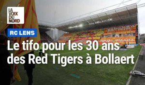 RC Lens: le tifo géant pour les 30 ans des Tigers