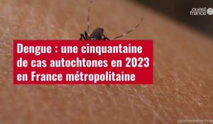 VIDÉO. Dengue : une cinquantaine de cas autochtones en 2023 en France métropolitaine