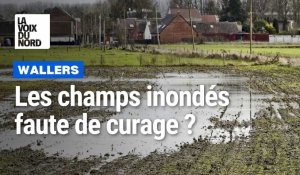 L'agriculteur bio de Wallers Dominique Miroux réclame le curage contre les inondations  de ses champs