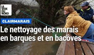 Clairmarais : en barques et en bacôves pour nettoyer le marais