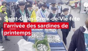 VIDÉO. La sardine, star du jour à Saint-Gilles-Croix-de-Vie 