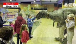 VIDÉO. À la découverte des dinosaures dans une exposition façon "Jurassic Park" à Louverné