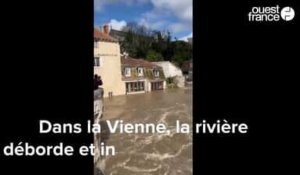VIDEO. Inondations dans la Vienne: la rivière déborde dans les rues d'une commune de 6000 habitants