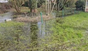 Inondations à Wingles : un jardin sous l'eau depuis des mois !