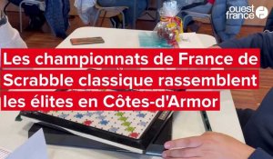VIDÉO. Les meilleurs joueurs de Scrabble en France sont à Plérin 