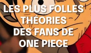 One piece : Les Folles Théories des Fans
