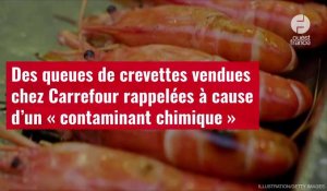 VIDÉO. Des queues de crevettes vendues chez Carrefour rappelées à cause d’un contaminant chimique 