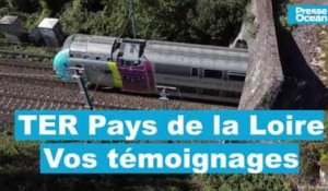 VIDEO. TER et trams-trains en Loire-Atlantique : c'est vous qui en parlez le mieux