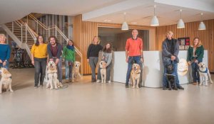 VIDÉO. L'association Handi'chiens forme les chiens d'assistance de demain en Mayenne