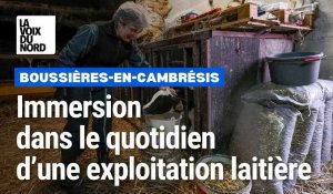Boussières-en-Cambrésis : immersion dans le quotidien d'une exploitation laitière 