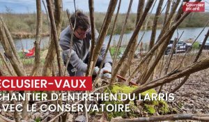 Éclusier-Vaux - Chantier d'entretien du larris avec le Conservatoire d'espaces naturels