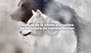 Émission spéciale - 26e festival de la photo animalière et de nature de Montier-en-Der