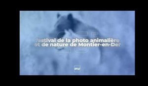 Vendredi 17 novembre - Emission spéciale en direct du festival de la photo animalière et de nature