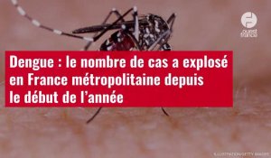 VIDÉO. Dengue : le nombre de cas a explosé en France métropolitaine depuis le début de l’année