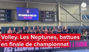 VIDEO. Volley: Après la finale de championnat, les Neptunes de Nantes finissent avec l'argent au cou