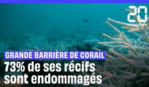 Australie : La Grande Barrière de corail subit le pire épisode de blanchissement jamais enregistré 