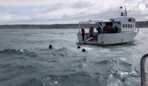 VIDEO. Avant l'été, les secours mènent des exercices de sauvetage dans la rade de Cherbourg