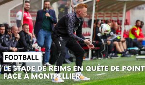 Stade de Reims - Montpellier : l’avant-match avec Will Still
