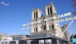 En attendant Notre-Dame de Paris... Cinq ans de travaux et de résilience