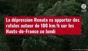 VIDÉO. La dépression Renata va apporter des rafales autour de 100 km/h sur les Hauts-de-France 