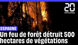 Espagne : 180 personnes évacuées, 500 hectares de forêt brûlés dans un incendie #shorts