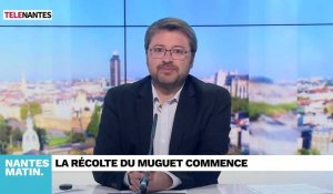 JT du Mardi 16 avril : la colère des chauffeurs VTC