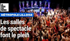 L'économie des spectacles dans la métropole lilloise 