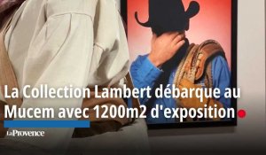 La Collection Lambert débarque au Mucem avec 1200m2 d'exposition