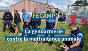 À Fécamp, les gendarmes contre la maltraitance animale