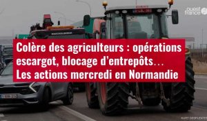 VIDÉO. Colère des agriculteurs: opérations escargot, blocage d’entrepôts… Mercredi en Normandie