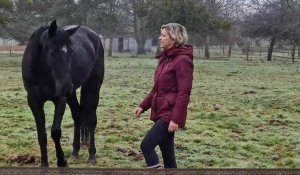 Dans l'Eure, elle a créé un refuge pour les chevaux, poneys et ânes