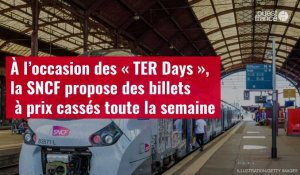 VIDÉO. À l’occasion des « TER Days », la SNCF propose des billets à prix cassés toute la s