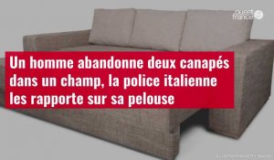 VIDÉO. Un homme abandonne deux canapés dans un champ, la police italienne les rapporte sur sa pelous