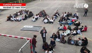 VIDÉO. À Quimper, les élèves du collège Diwan manifestent pour le brevet en breton 