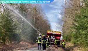 Les pompiers se forment pour lutter contre le feu de forêt à Bogny-sur-Meuse