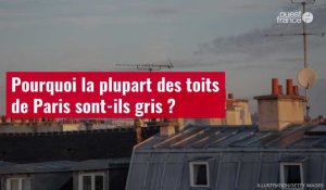 VIDÉO. Pourquoi la plupart des toits de Paris sont-ils gris ?