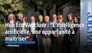 Hub de l'éco Vaucluse : "L'intelligence artificielle est révolutionnaire, mais il faut l'encadrer"