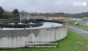 Golfe du Morbihan :  après la pollution,  la polémique