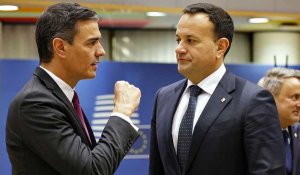 L'Espagne et l'Irlande demandent une "révision urgente" de l'accord UE-Israël