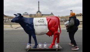 Des producteurs de lait manifestent "pour des prix justes" près de l'Assemblée nationale