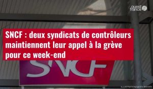 VIDÉO. SNCF : deux syndicats de contrôleurs maintiennent leur appel à la grève pour ce week-end