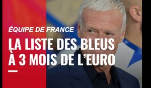VIDÉO. Équipe de France : Diaby, Rabiot…Que retenir de la dernière liste de Deschamps avant l'Euro ?