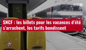 VIDÉO. SNCF : les billets pour les vacances d’été s’arrachent, les tarifs bondissent