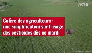 VIDÉO. Colère des agriculteurs : une simplification sur l'usage des pesticides dès ce mardi