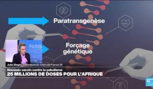 Comment éradiquer le paludisme et les autres maladies vectorielles ?