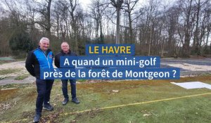 À quand un mini-golf dans la forêt de Montgeon au Havre ?