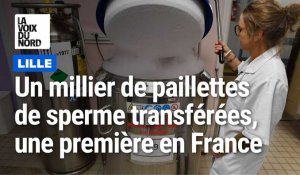 Premier transfert de dons de sperme à Lille, c'est inédit en France!