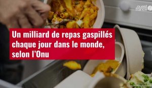 VIDÉO. Un milliard de repas gaspillés chaque jour dans le monde, selon l’Onu