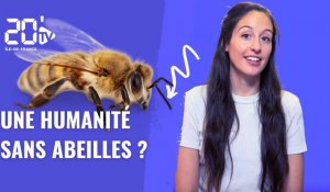 Il faut sauver le soldat abeille